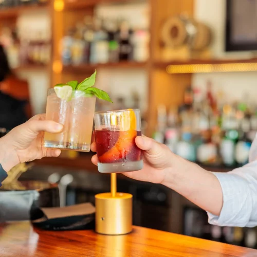 Friends toasting with cocktails at an upscale bar event captured by MJS Live Productions.