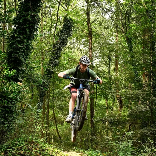 Mountain biker racing through forest trail during adventure sports photography by MJS Live Productions in Charlotte, NC.